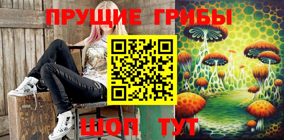Сунжа  Галлюциногенные грибы Psilocybe  Вход с VPN 