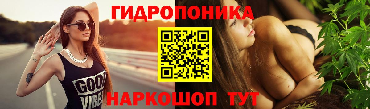 Марихуана индика  Вход с VPN  Сунжа  Канабис AK-47 